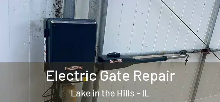 Electric Gate Repair Lake in the Hills - IL