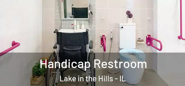 Handicap Restroom Lake in the Hills - IL