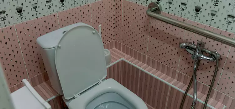 Meeting Diverse Needs With Accessible Restroom Solutions in Lake in the Hills, IL